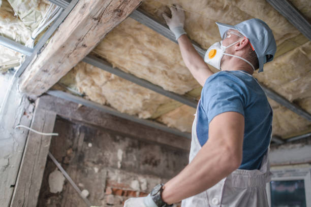 Best Eco-Friendly Insulation in Oakland, NE